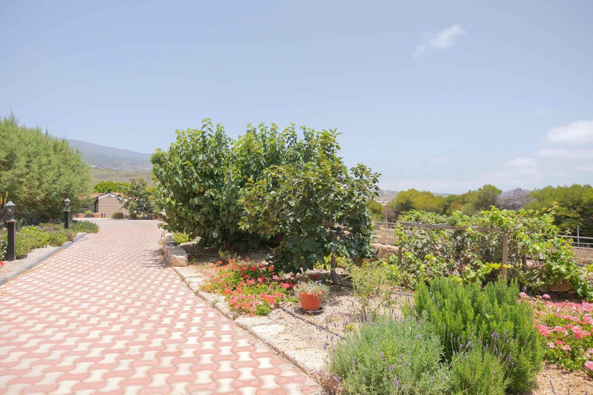 Villa Casa Wayra Granadilla De Abona Exterior foto